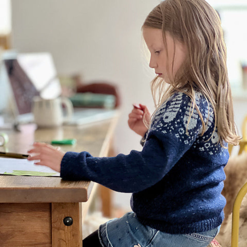 Fischers Fritz Isabell Kraemer - Strikkekit