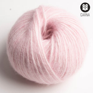 307 Rosa Light